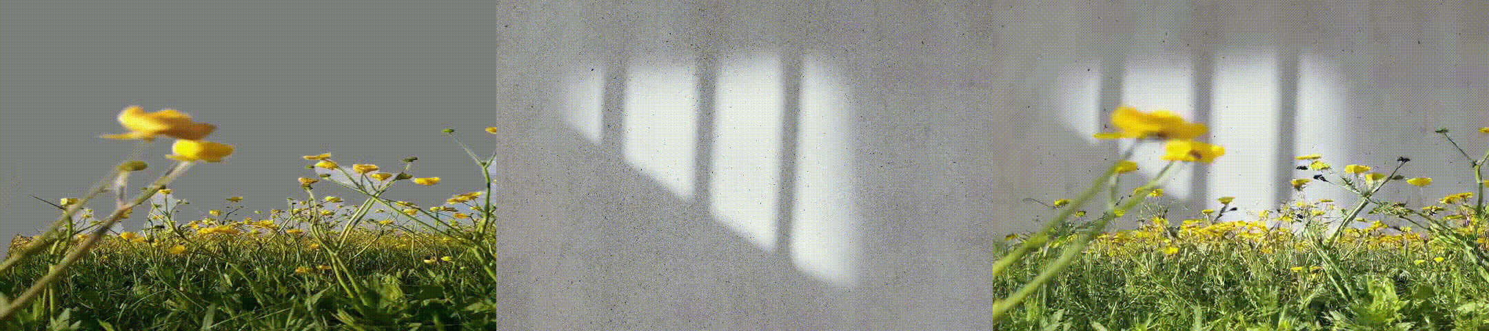example GIF 13