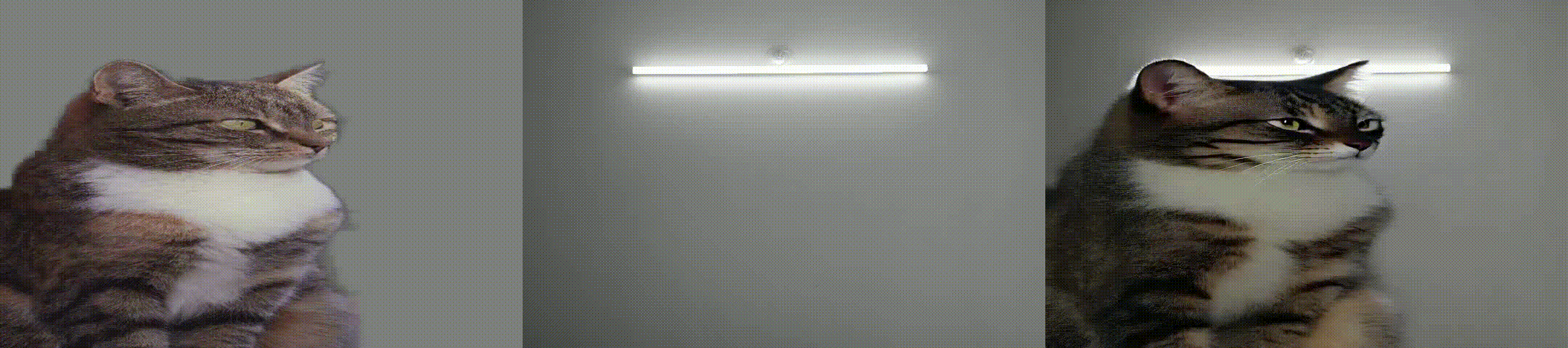 example GIF 14_2