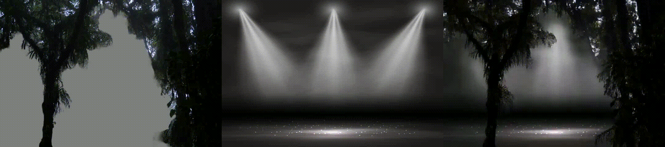 example GIF 5
