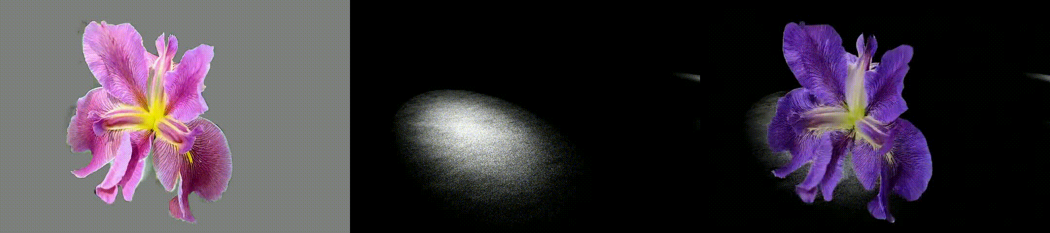 example GIF 9
