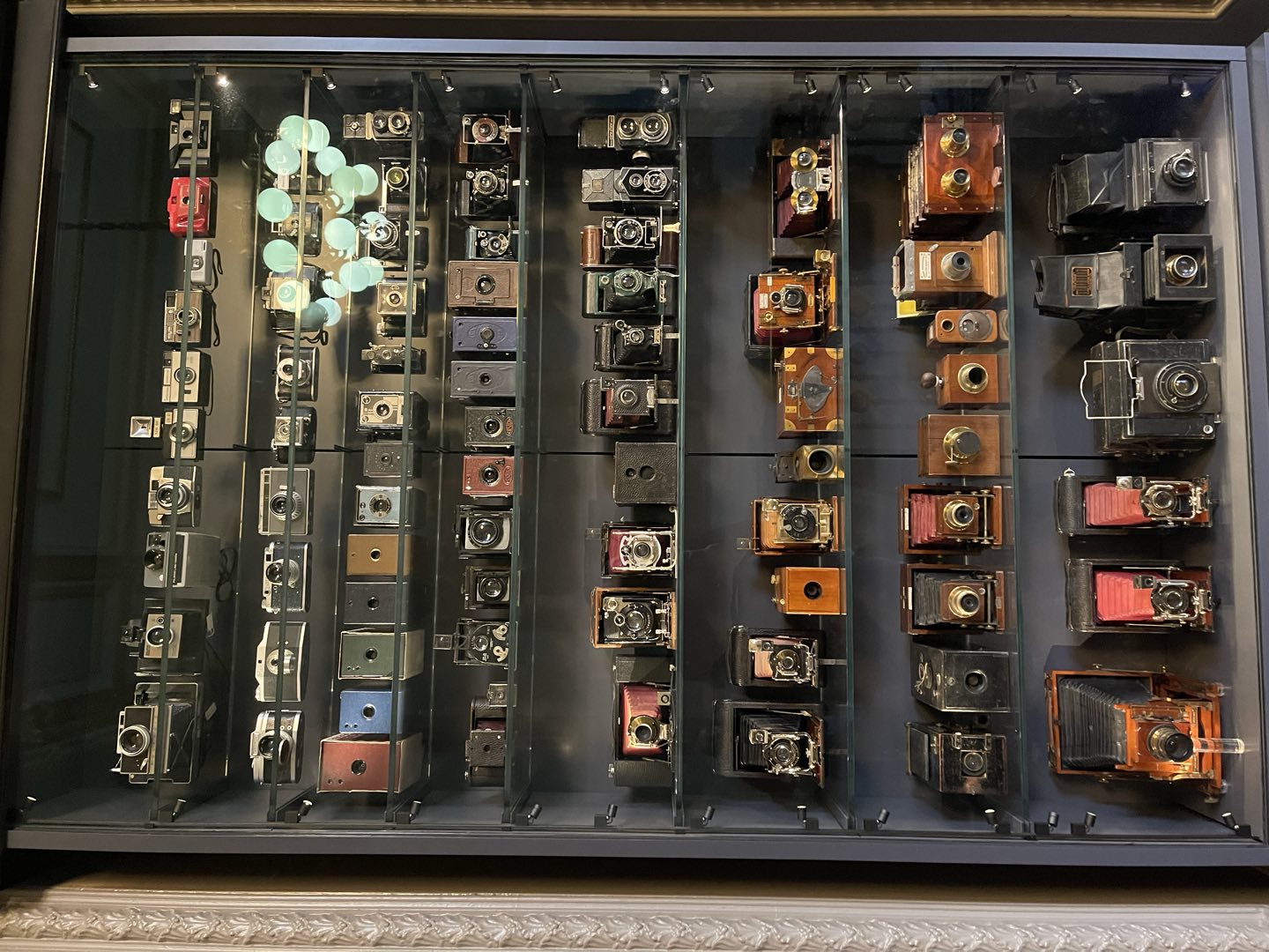 A display cabinet filled with rows of vintage cameras